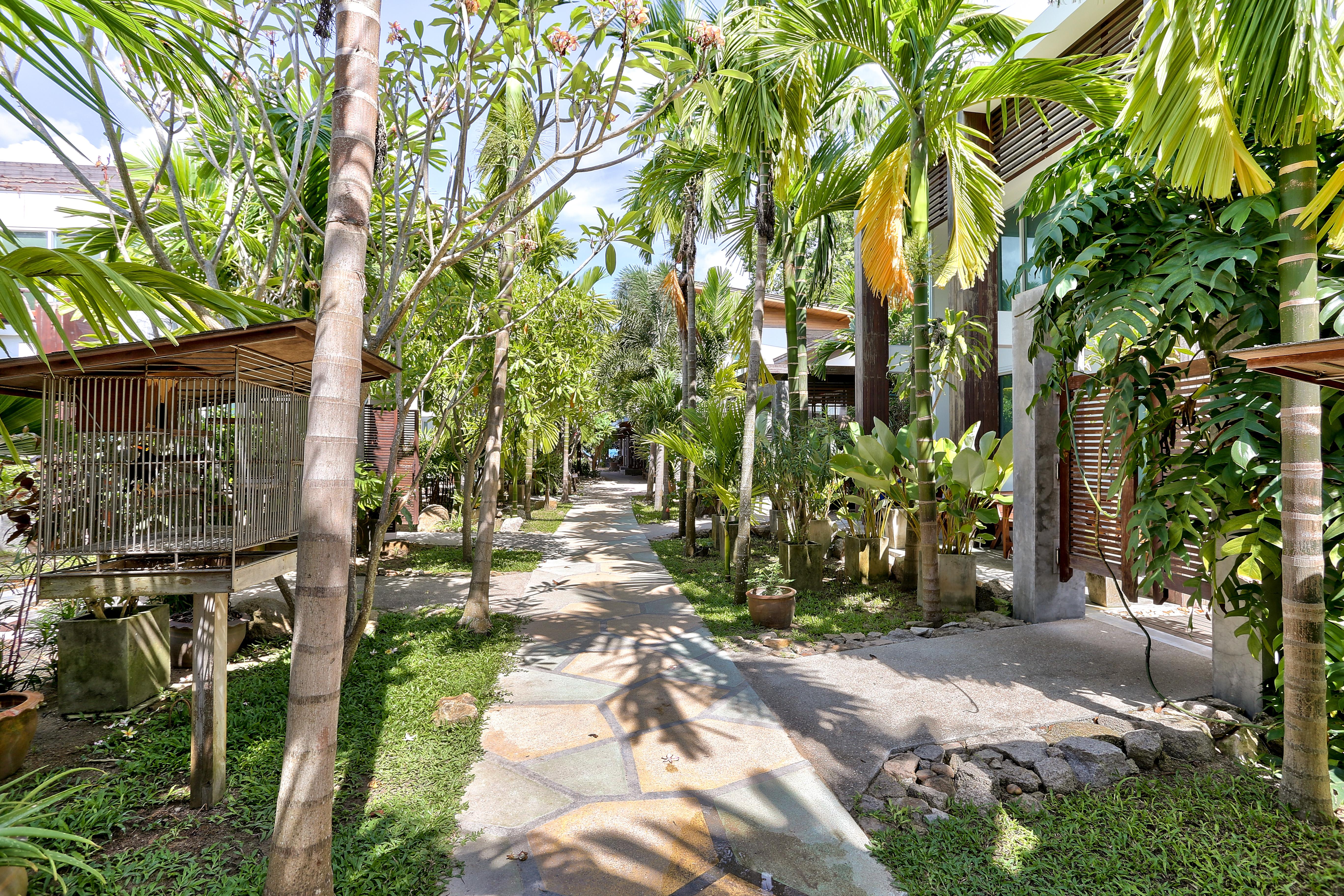 Sairee Hut Resort Ko Tao Exterior foto